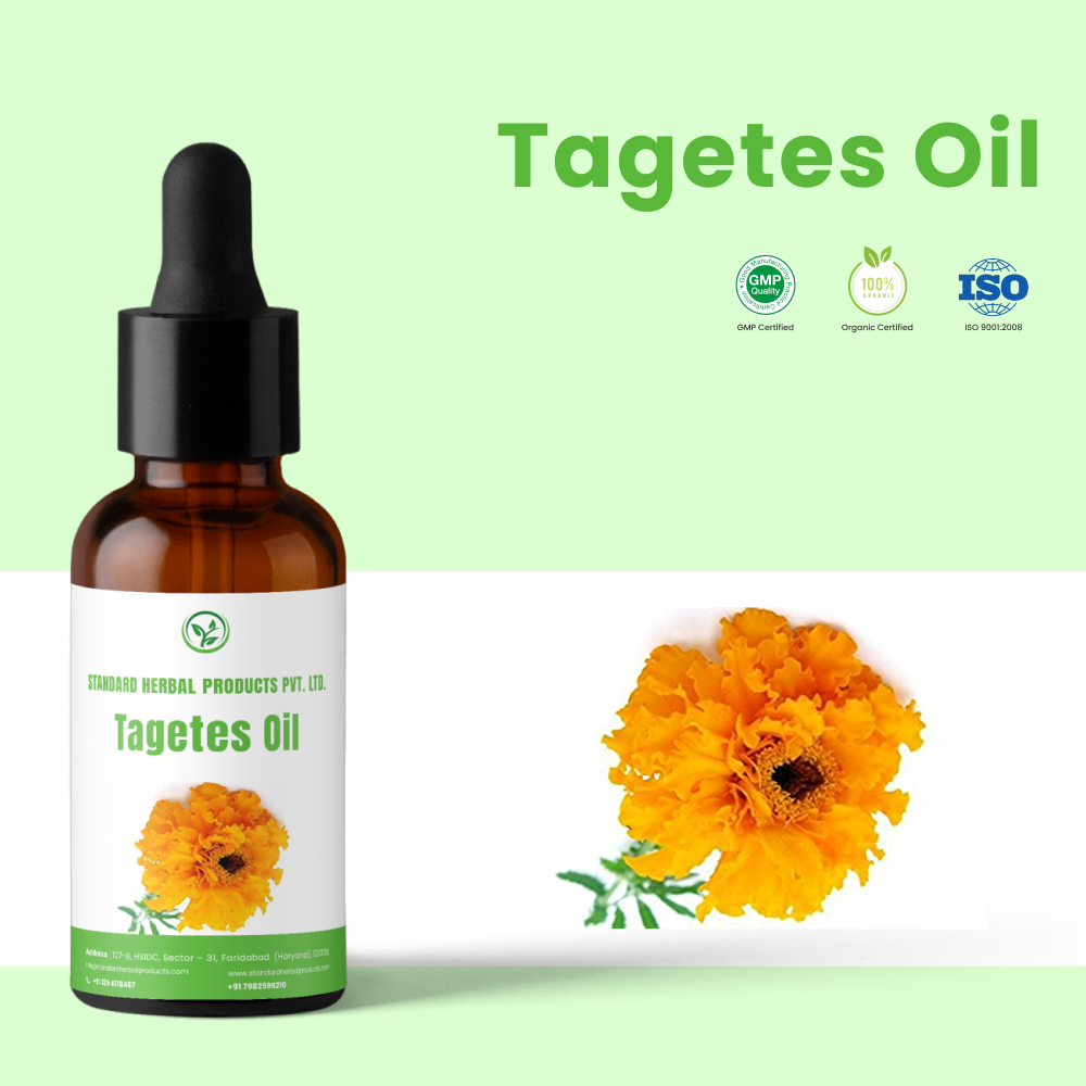 Pale Yellow Flowers Tagetes Essential Oil