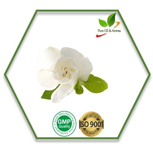 Gardenia Oil, For Fragrance, Natural