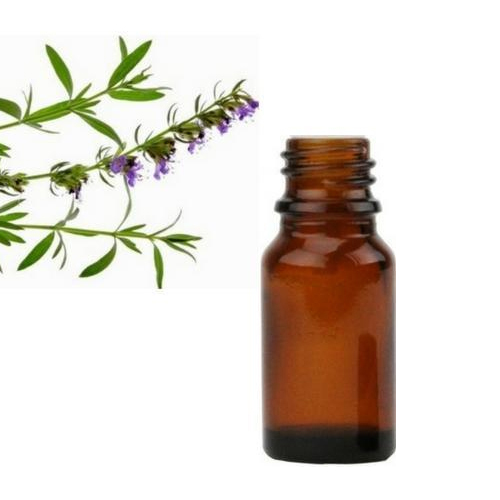 Liquid Hyssopus Officinalis Hyssop Oil, For Medicinal