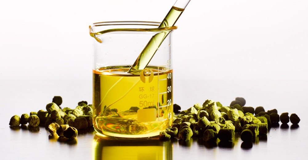 Organic Hops Oil