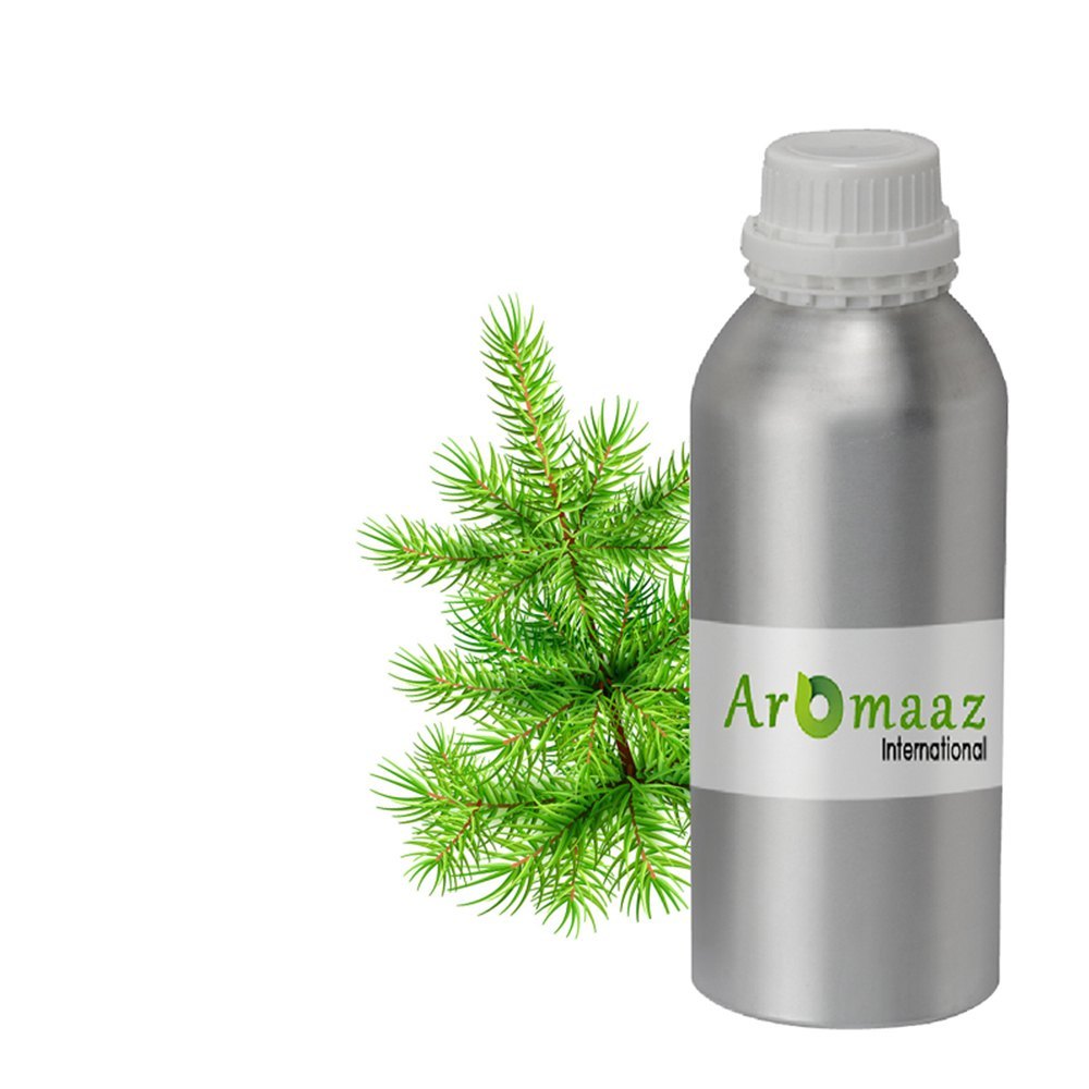 Dwarf Pine Essential Oil