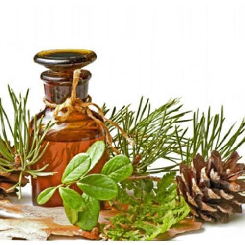 Essential Oil Pine