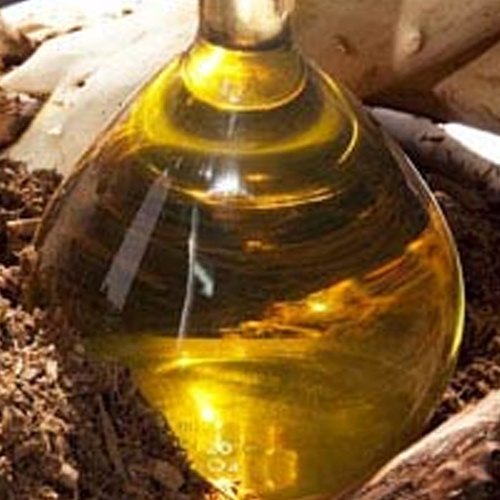 Sandalwood Oil