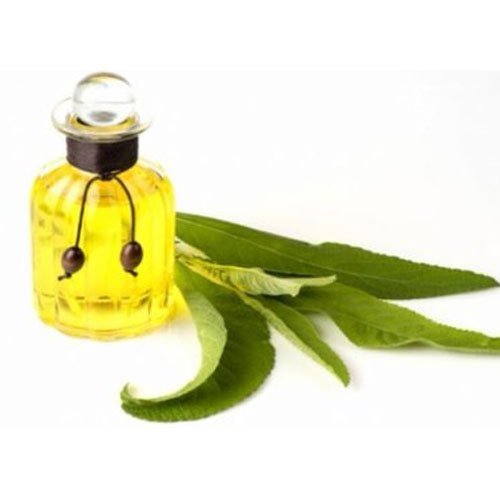 Cinnamomum Camphora Yellow Camphor Essential Oil
