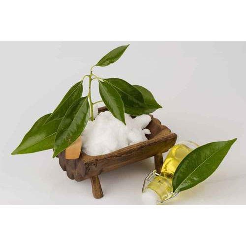 Cinnamomum Camphora Camphor Oil, For Skin Care