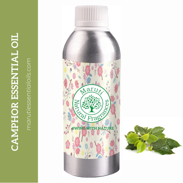 Steam Distillation Cinnamomum Camphora Camphor Essential Oil, Packaging Type: Bottle