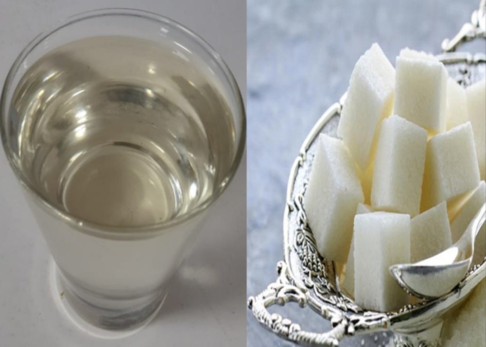 Camphor Essential Oil