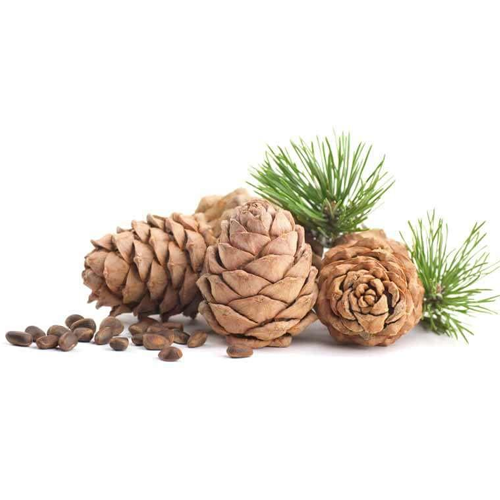 Cedar Wood Oil Double Distilled
