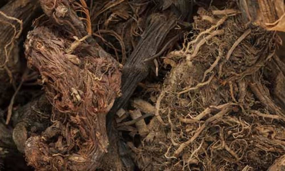Nardostachys Dark Brown Jatamanshi Oil