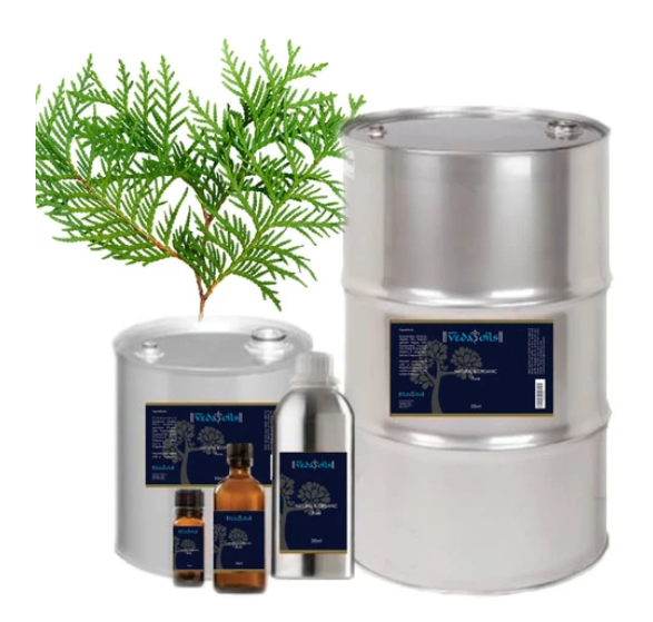 Thuja Oil