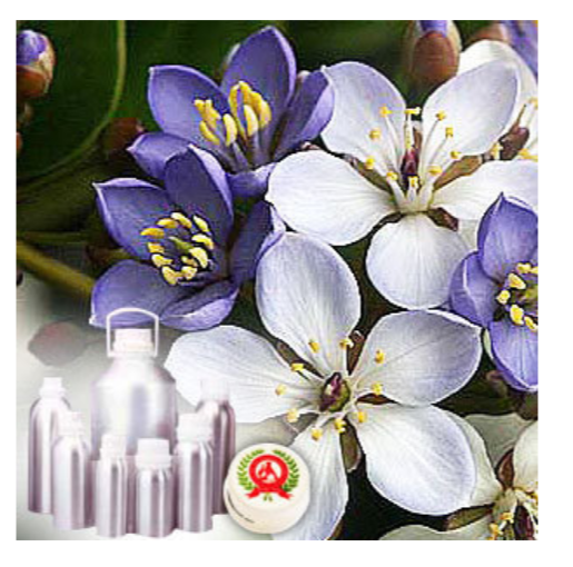 Guaiac Wood Oil