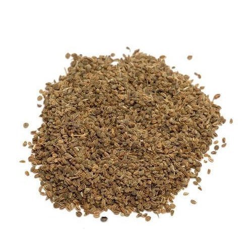 Brown Celery Seed Powdered Extract, Packaging Type: Hdpe Drum, Packaging Size: 10 To 25 kg