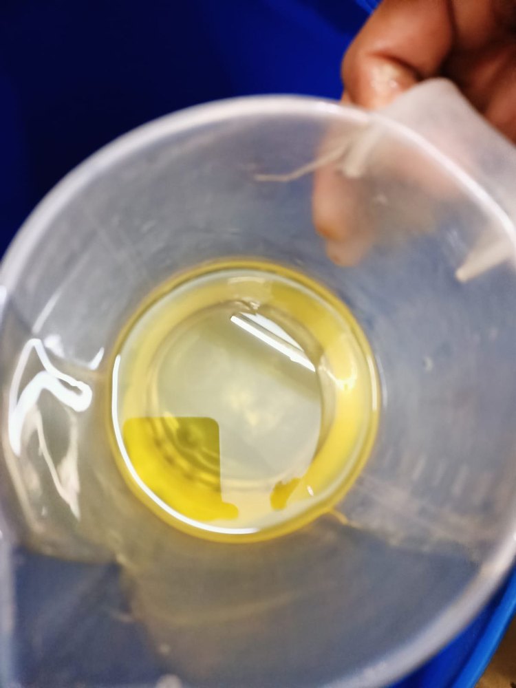 Castor Oil BSS Grade