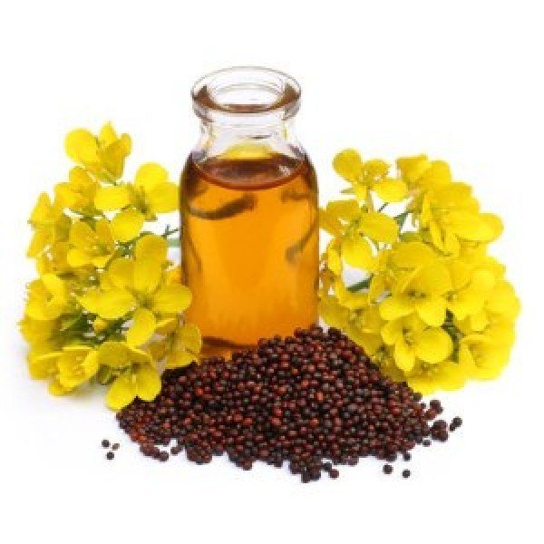 Mustard Essential Oil