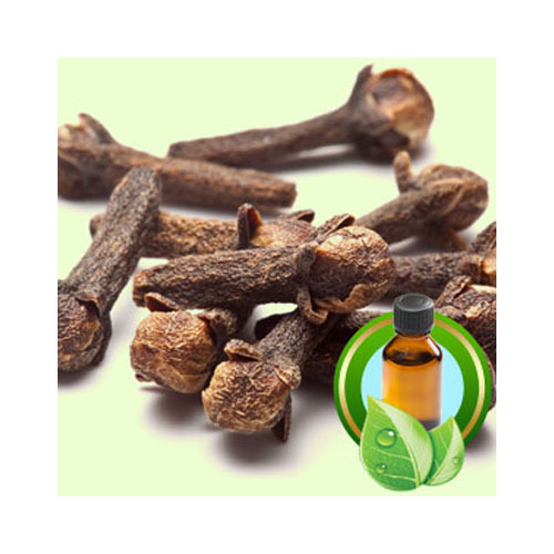 Clove Bud Oil