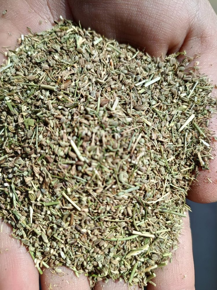Bold Carom Seeds, 50 Kg