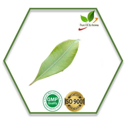 Clove Leaf Oil