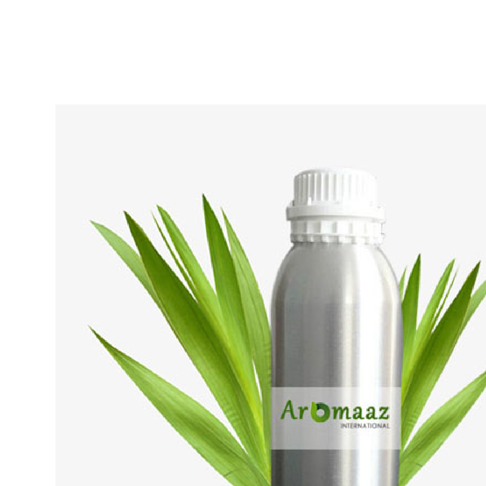 Liquid Cymbopogan Martini Ginger Grass Essential Oil