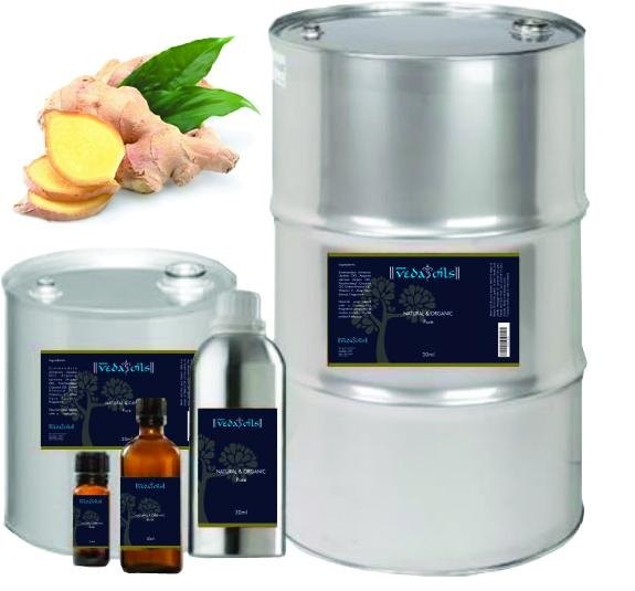Zingiber officinalis Root Ginger Oil