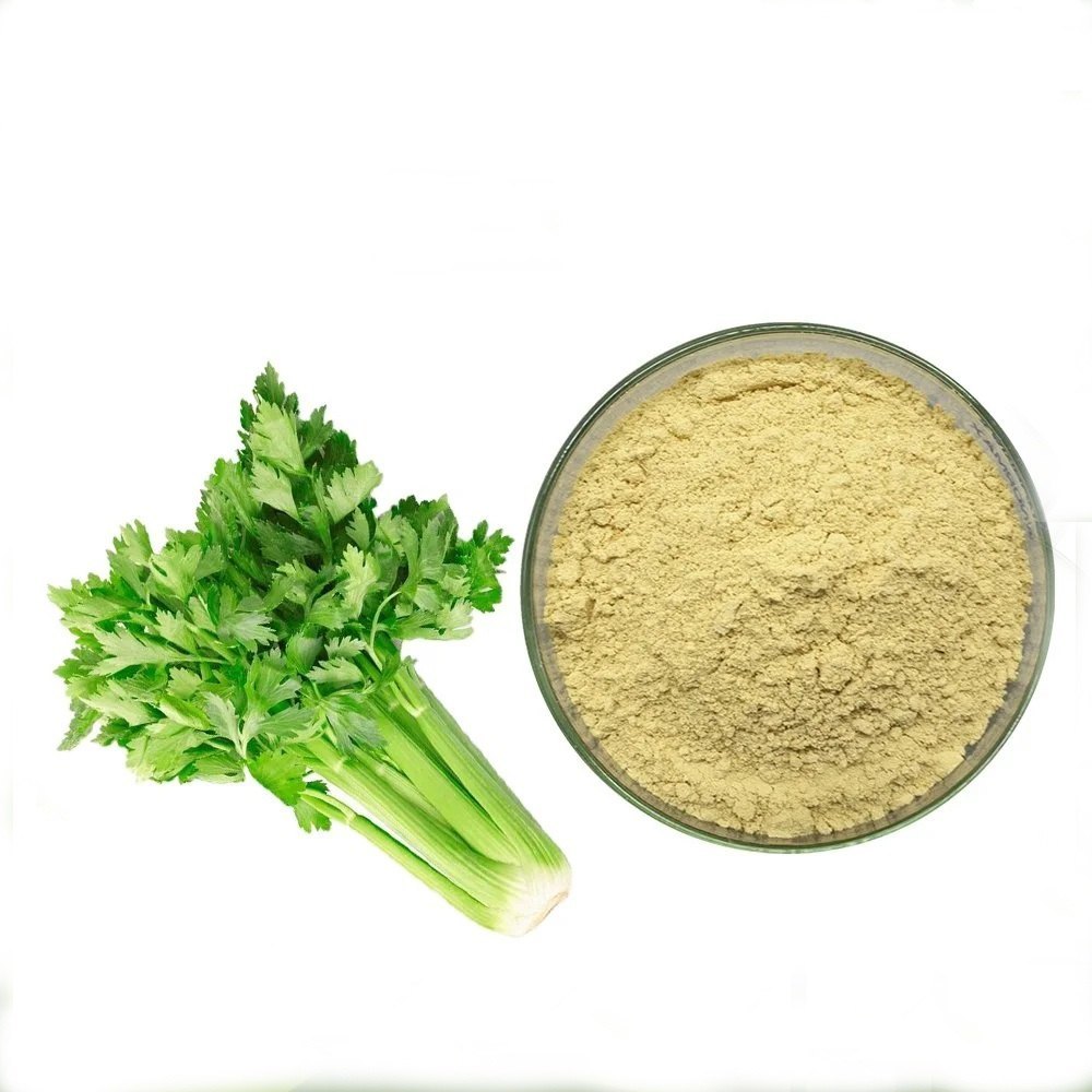 Thakur Spicy Ajwain Powder, Packaging Type: Packet, Packaging Size: 1 kg