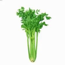 MTR Spicy Celery Powder, Packaging Type: Packet, Packaging Size: 1