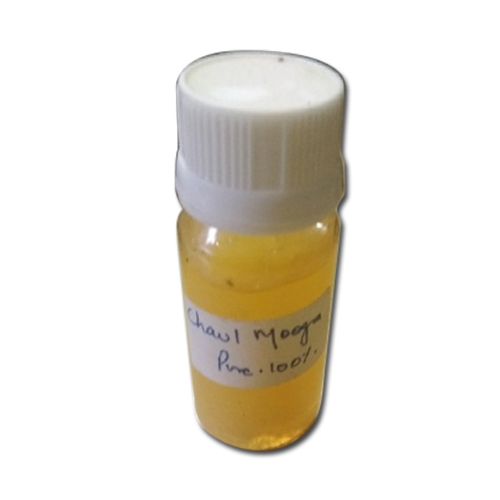 Chaulmoogra Oil/Hydnocarpus Wightinia /Tubrak oil
