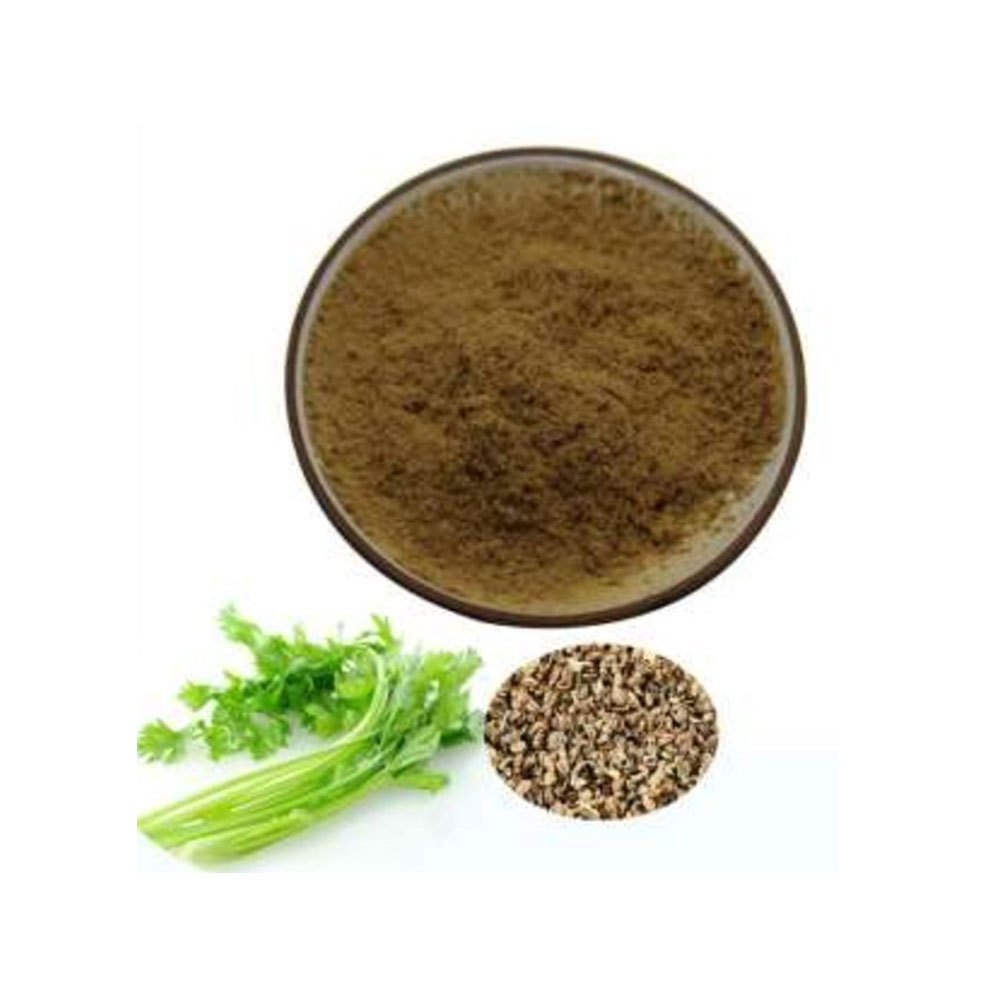 Celery Seed Powdered Extract