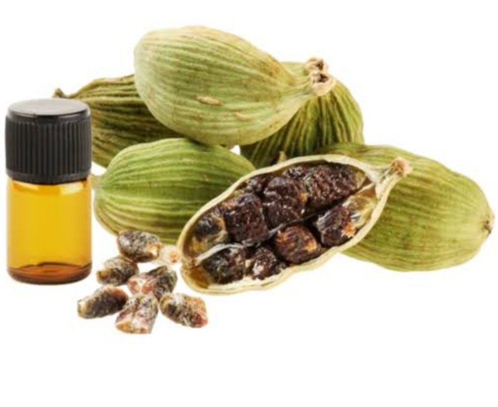 Elettaria cardamomum Pale Yellow Cardamom Oil