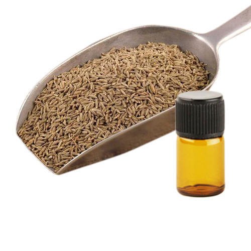 Cumin Seed Essential Oil