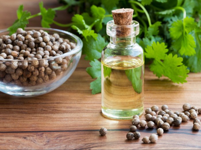 Katyani Exports Coriander Seed Oil