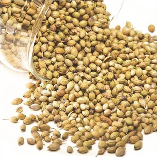 Coriander Seed Oil