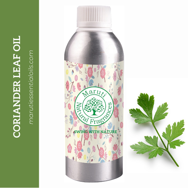 Coriander Leaf Oil, 1 litre