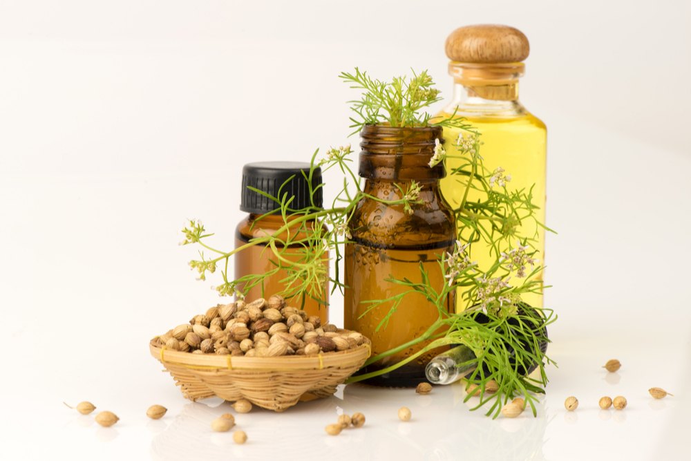 S&H Seeds coriender oil, For pharma food and FMCG