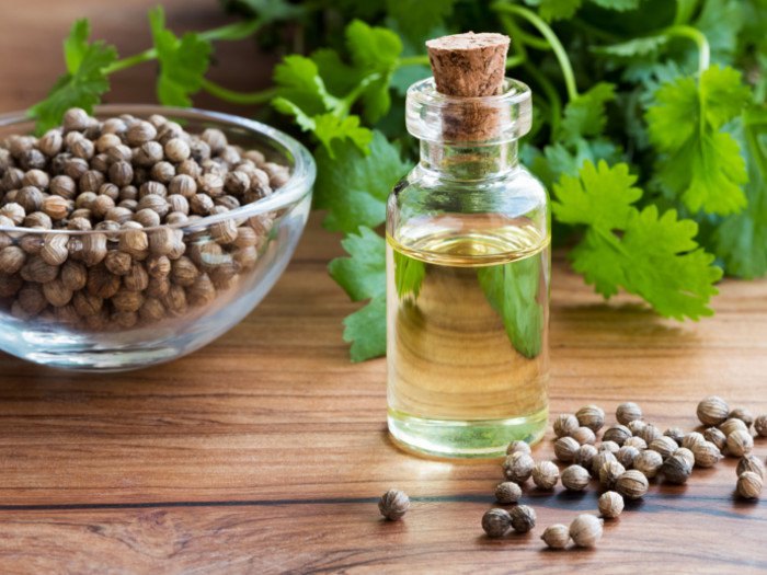 Coriander Seed Oil, Packaging Size: 1 Kg -35 Kg