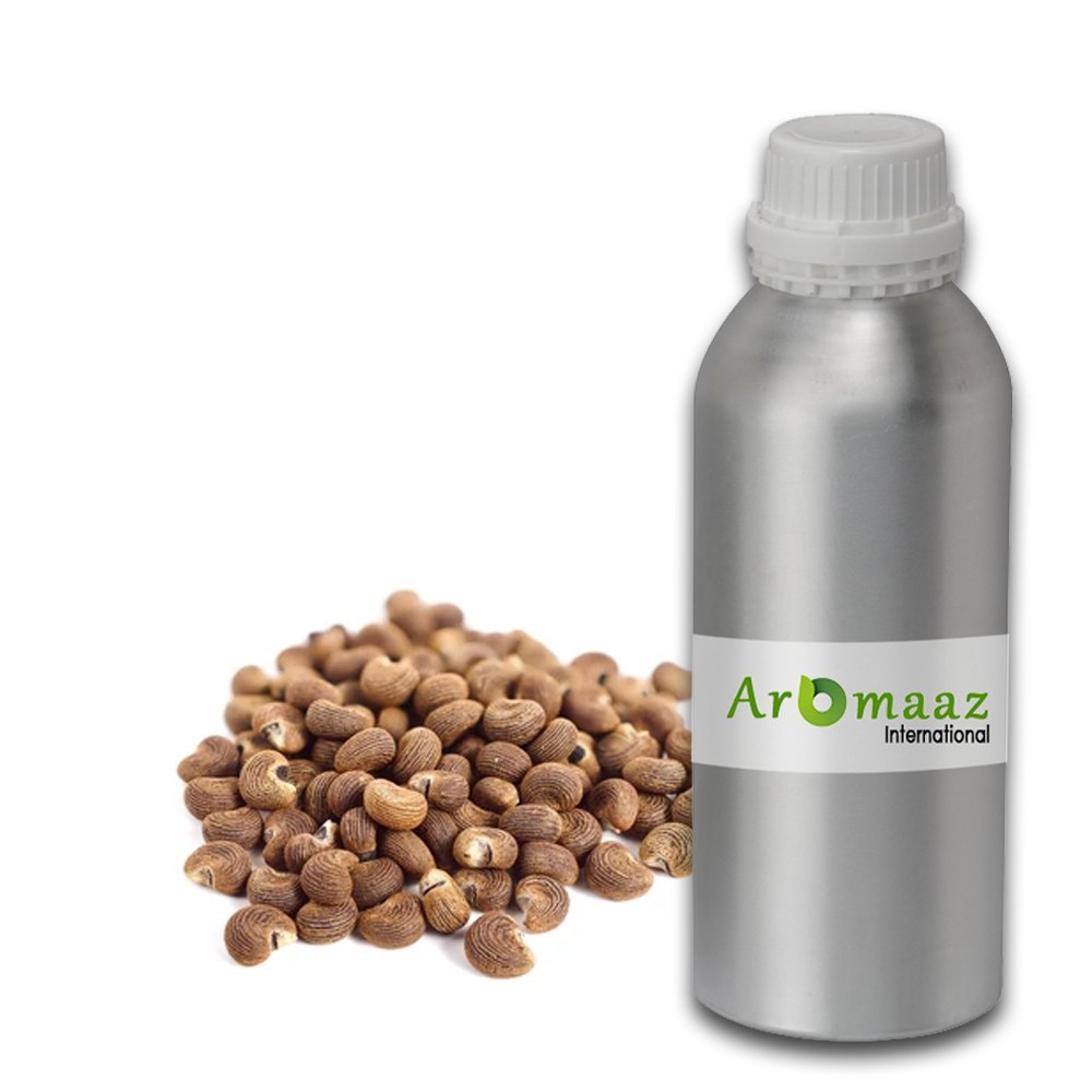 Steam Distillation Ambrette Seed Essential Oil