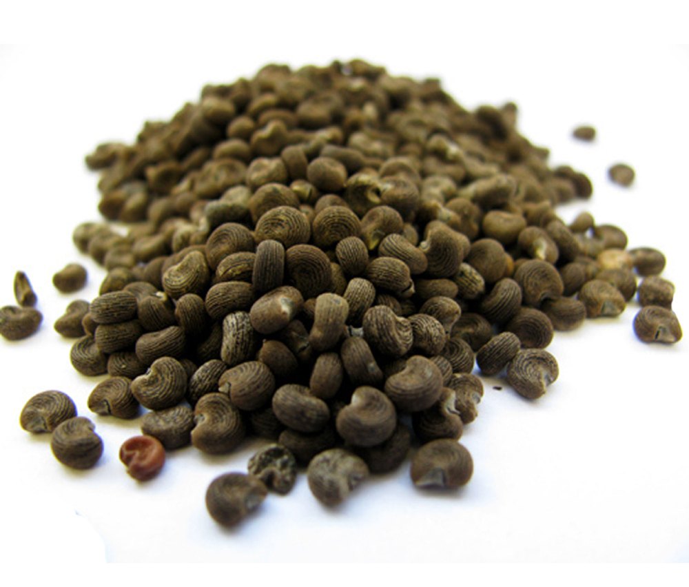 Ambrette Seed Oil, For Skin Care, Seeds