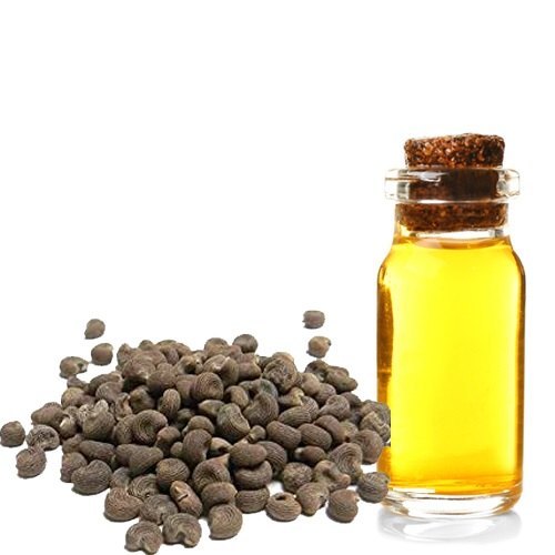 mGanna 100% Natural Ambrette Essential Seed Oil Abelmoschus moschatus for aromatherapy / Pharma