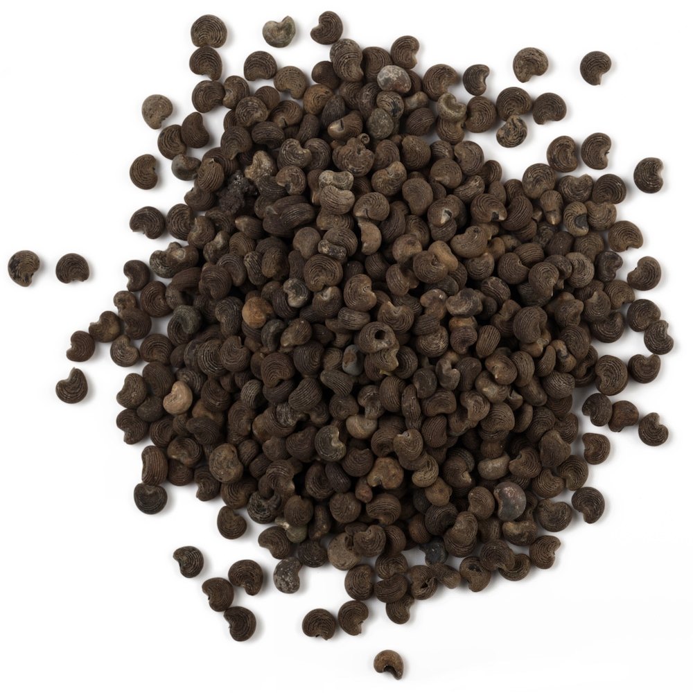 Liquid form Abelmoschus moschatus Ambrette Seed Oil, For Aromatherapy