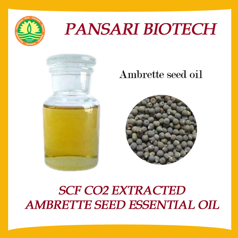 Ambrette Seed CO2 Essential Oil