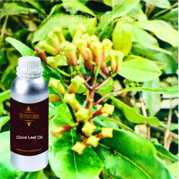 Clove Leaf Oil