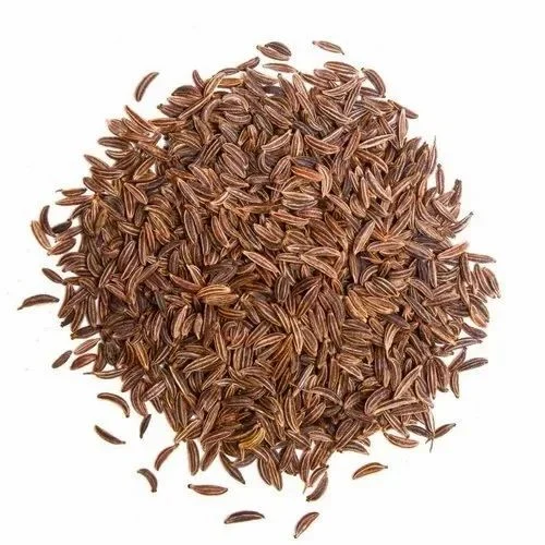 Caraway Essential Oil