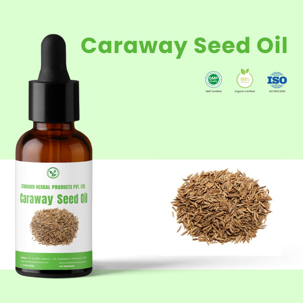 Caraway Seed Oil, Seeds, Packaging Size: 10 kg
