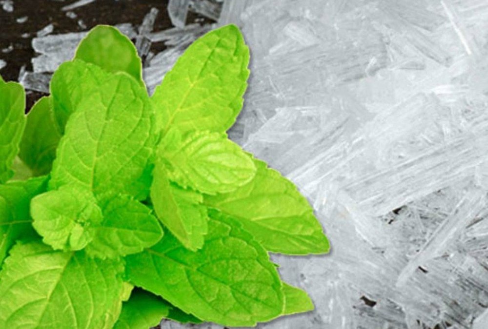 Crystal Menthol, For Pharma, Packaging Size: 25kg