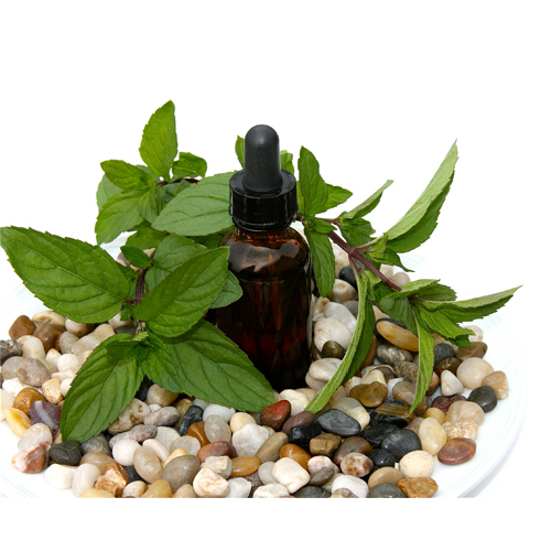 Pudina Oil Green