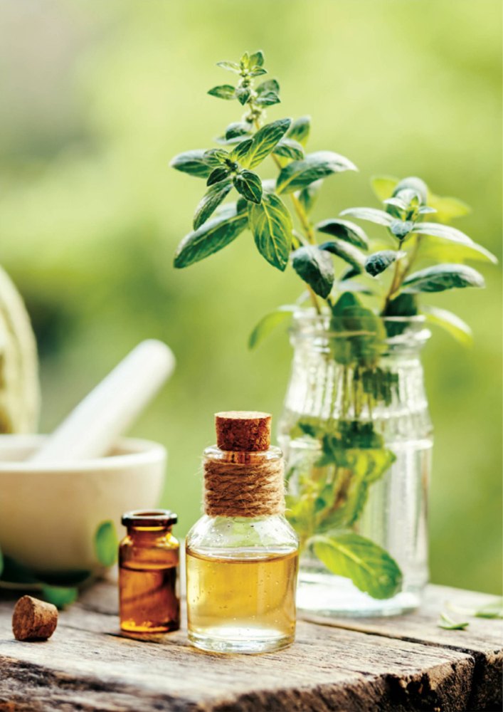 Mentha Usa Willamette Oil, 1 Kg