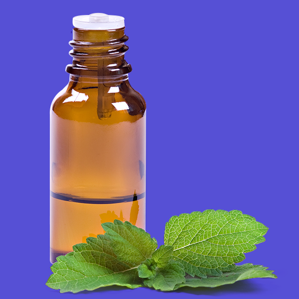 Mentha Oil