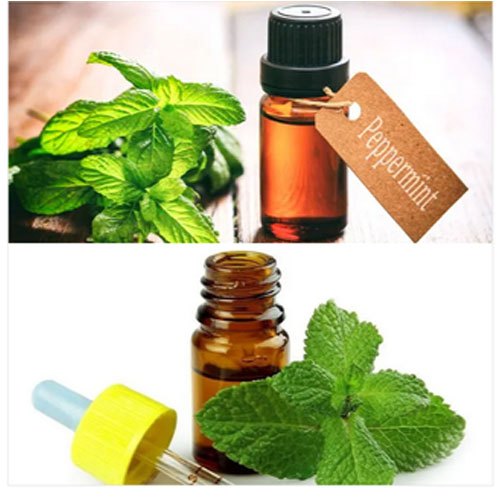Mentha Oil, 10 ml