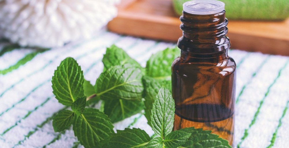 Mint Oil