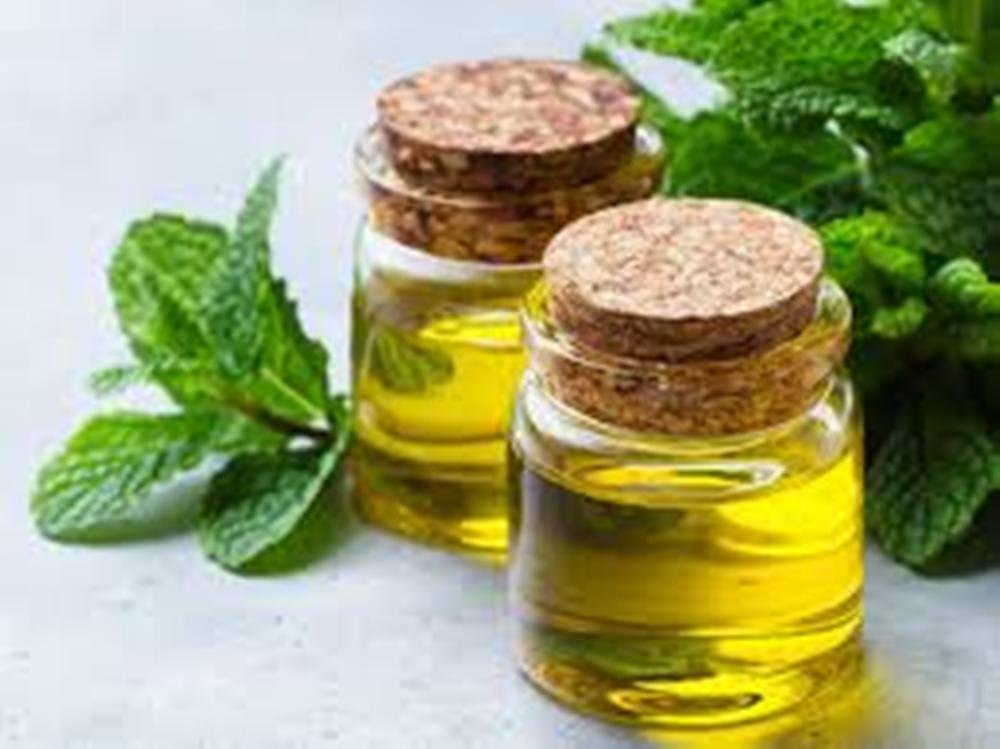 Liquid Mentha Oil, For Cosmetics Food & Pharma, Packaging Size: Hdpe Canes & Drums