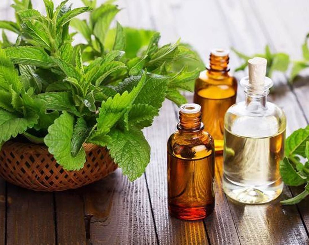 Mentha Oil, 25 Kg